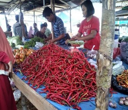 Ilustrasi harga cabai di Pekanbaru melonjak (foto/int)